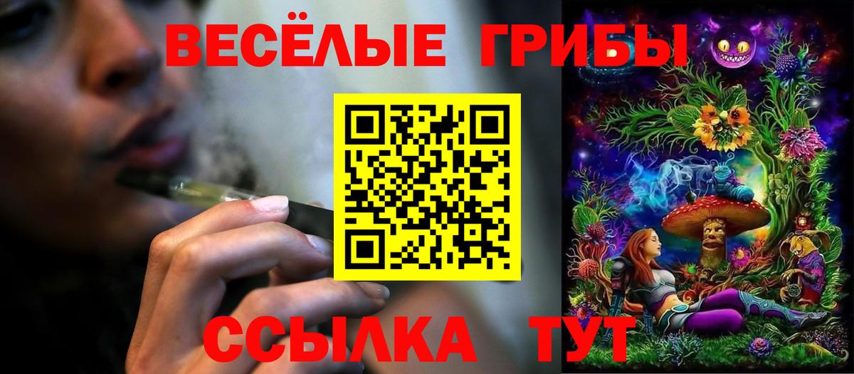 Галлюциногенные грибы Psilocybe Наро-Фоминск
