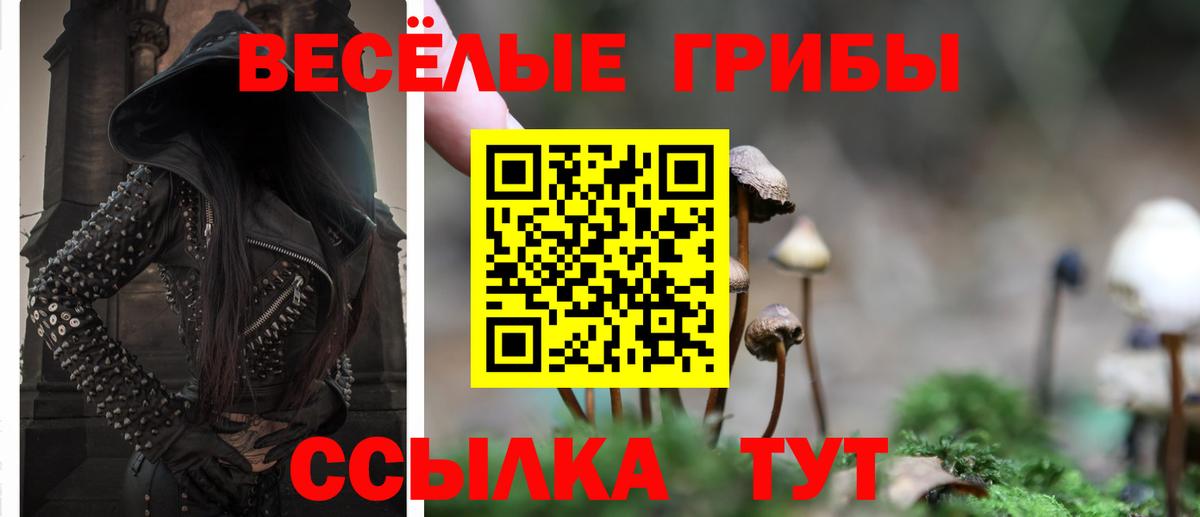 Наро-Фоминск  Псилоцибиновые грибы Magic Shrooms  магазин продажи наркотиков  Вход с VPN 